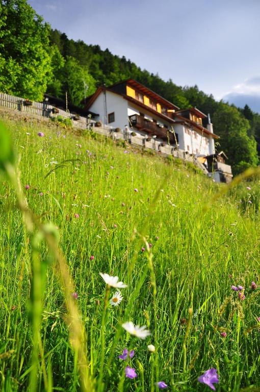 Bad St Isidor Hotel Bolzano Exterior photo