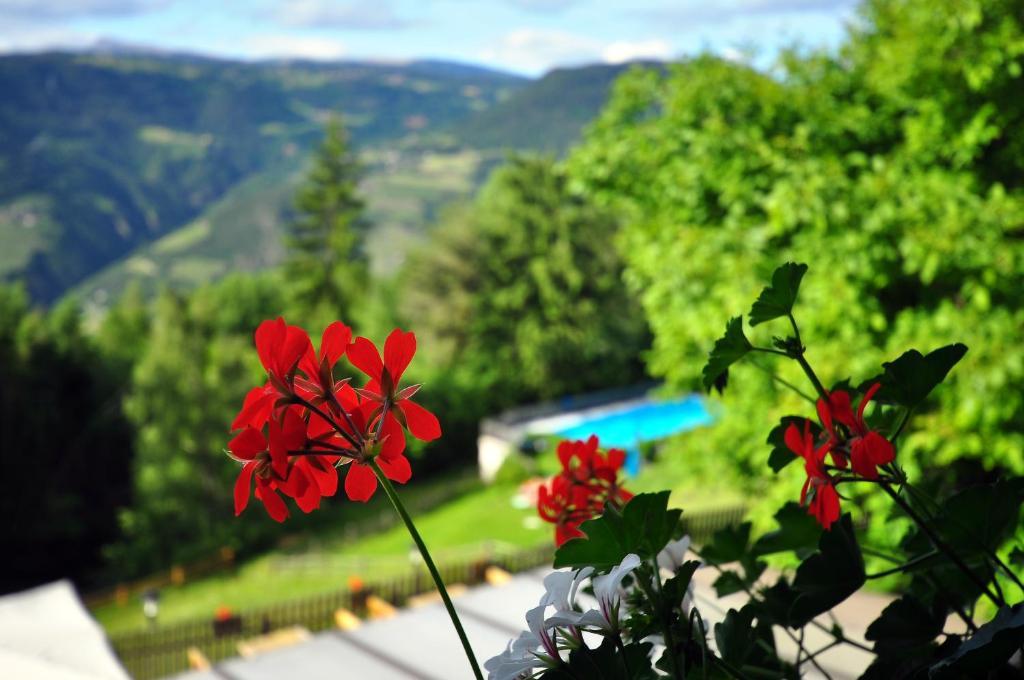 Bad St Isidor Hotel Bolzano Room photo